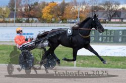 Dateiname=20251026_r04_086_R04_0306.jpg
Dateigröße=296KB
Abmessungen: 1000x667
hinzugefügt am: 28. Oktober 2025 20251026_r04_086_R04_0306.jpg