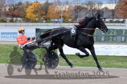 Dateiname=20251026_r04_087_R04_0307.jpg
Dateigröße=301KB
Abmessungen: 1000x667
hinzugefügt am: 28. Oktober 2025 20251026_r04_087_R04_0307.jpg