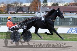 Dateiname=20251026_r04_088_R04_0310.jpg
Dateigröße=281KB
Abmessungen: 1000x667
hinzugefügt am: 28. Oktober 2025 20251026_r04_088_R04_0310.jpg