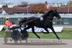 Dateiname=20251026_r04_090_R04_0314.jpg
Dateigröße=276KB
Abmessungen: 1000x667
hinzugefügt am: 28. Oktober 2025 20251026_r04_090_R04_0314.jpg