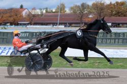 Dateiname=20251026_r04_091_R04_0317.jpg
Dateigröße=276KB
Abmessungen: 1000x667
hinzugefügt am: 28. Oktober 2025 20251026_r04_091_R04_0317.jpg