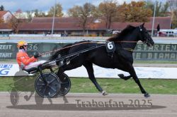 Dateiname=20251026_r04_092_R04_0318.jpg
Dateigröße=274KB
Abmessungen: 1000x667
hinzugefügt am: 28. Oktober 2025 20251026_r04_092_R04_0318.jpg