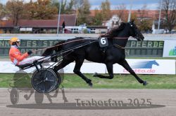 Dateiname=20251026_r04_093_R04_0321.jpg
Dateigröße=281KB
Abmessungen: 1000x667
hinzugefügt am: 28. Oktober 2025 20251026_r04_093_R04_0321.jpg