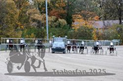 Dateiname=20251026_r04_095_R04_0336.jpg
Dateigröße=401KB
Abmessungen: 1000x667
hinzugefügt am: 28. Oktober 2025 20251026_r04_095_R04_0336.jpg