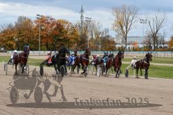 Dateiname=20251026_r04_097_R04_0344.jpg
Dateigröße=359KB
Abmessungen: 1000x667
hinzugefügt am: 28. Oktober 2025 20251026_r04_097_R04_0344.jpg