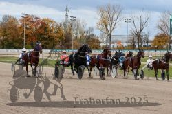 Dateiname=20251026_r04_098_R04_0350.jpg
Dateigröße=360KB
Abmessungen: 1000x667
hinzugefügt am: 28. Oktober 2025 20251026_r04_098_R04_0350.jpg