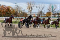 Dateiname=20251026_r04_099_R04_0353.jpg
Dateigröße=358KB
Abmessungen: 1000x667
hinzugefügt am: 28. Oktober 2025 20251026_r04_099_R04_0353.jpg