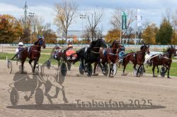 Dateiname=20251026_r04_100_R04_0357.jpg
Dateigröße=351KB
Abmessungen: 1000x667
hinzugefügt am: 28. Oktober 2025 20251026_r04_100_R04_0357.jpg