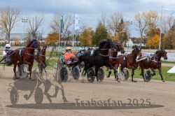 Dateiname=20251026_r04_101_R04_0363.jpg
Dateigröße=342KB
Abmessungen: 1000x667
hinzugefügt am: 28. Oktober 2025 20251026_r04_101_R04_0363.jpg