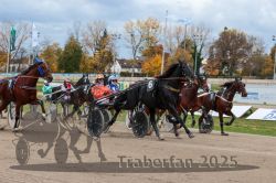 Dateiname=20251026_r04_102_R04_0367.jpg
Dateigröße=324KB
Abmessungen: 1000x667
hinzugefügt am: 28. Oktober 2025 20251026_r04_102_R04_0367.jpg