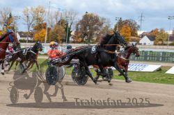 Dateiname=20251026_r04_103_R04_0370.jpg
Dateigröße=311KB
Abmessungen: 1000x667
hinzugefügt am: 28. Oktober 2025 20251026_r04_103_R04_0370.jpg