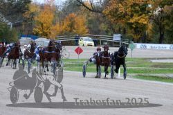 Dateiname=20251026_r04_138_R04_0517.jpg
Dateigröße=331KB
Abmessungen: 1000x667
hinzugefügt am: 28. Oktober 2025 20251026_r04_138_R04_0517.jpg