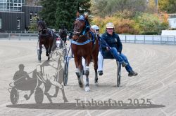 Dateiname=20251026_r04_169_R04_0616.jpg
Dateigröße=331KB
Abmessungen: 1000x667
hinzugefügt am: 28. Oktober 2025 20251026_r04_169_R04_0616.jpg