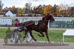 Dateiname=20251026_r05_009_R05_0023.jpg
Dateigröße=277KB
Abmessungen: 1000x667
hinzugefügt am: 28. Oktober 2025 20251026_r05_009_R05_0023.jpg