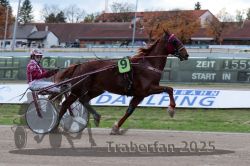 Dateiname=20251026_r05_013_R05_0032.jpg
Dateigröße=289KB
Abmessungen: 1000x667
hinzugefügt am: 28. Oktober 2025 20251026_r05_013_R05_0032.jpg