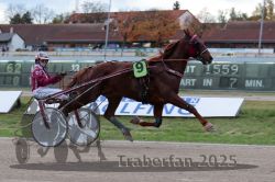 Dateiname=20251026_r05_014_R05_0033.jpg
Dateigröße=275KB
Abmessungen: 1000x667
hinzugefügt am: 28. Oktober 2025 20251026_r05_014_R05_0033.jpg