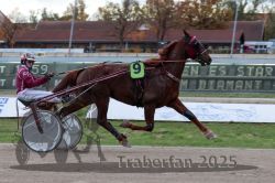 Dateiname=20251026_r05_016_R05_0037.jpg
Dateigröße=276KB
Abmessungen: 1000x667
hinzugefügt am: 28. Oktober 2025 20251026_r05_016_R05_0037.jpg