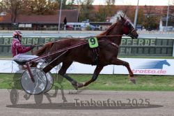 Dateiname=20251026_r05_017_R05_0040.jpg
Dateigröße=289KB
Abmessungen: 1000x667
hinzugefügt am: 28. Oktober 2025 20251026_r05_017_R05_0040.jpg