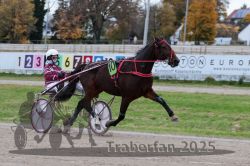 Dateiname=20251026_r05_019_R05_0046.jpg
Dateigröße=298KB
Abmessungen: 1000x667
hinzugefügt am: 28. Oktober 2025 20251026_r05_019_R05_0046.jpg