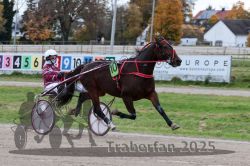 Dateiname=20251026_r05_020_R05_0047.jpg
Dateigröße=308KB
Abmessungen: 1000x667
hinzugefügt am: 28. Oktober 2025 20251026_r05_020_R05_0047.jpg