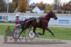 Dateiname=20251026_r05_021_R05_0050.jpg
Dateigröße=304KB
Abmessungen: 1000x667
hinzugefügt am: 28. Oktober 2025 20251026_r05_021_R05_0050.jpg