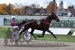 Dateiname=20251026_r05_024_R05_0057.jpg
Dateigröße=285KB
Abmessungen: 1000x667
hinzugefügt am: 28. Oktober 2025 20251026_r05_024_R05_0057.jpg