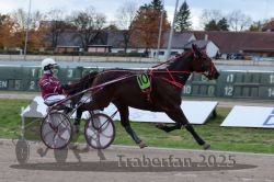 Dateiname=20251026_r05_025_R05_0058.jpg
Dateigröße=282KB
Abmessungen: 1000x667
hinzugefügt am: 28. Oktober 2025 20251026_r05_025_R05_0058.jpg