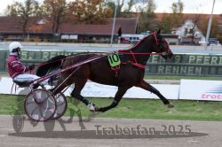 Dateiname=20251026_r05_029_R05_0068.jpg
Dateigröße=284KB
Abmessungen: 1000x667
hinzugefügt am: 28. Oktober 2025 20251026_r05_029_R05_0068.jpg