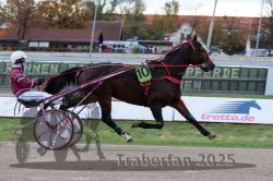 Dateiname=20251026_r05_030_R05_0069.jpg
Dateigröße=290KB
Abmessungen: 1000x667
hinzugefügt am: 28. Oktober 2025 20251026_r05_030_R05_0069.jpg