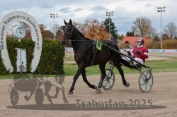 Dateiname=20251026_r05_031_R05_0073.jpg
Dateigröße=300KB
Abmessungen: 1000x667
hinzugefügt am: 28. Oktober 2025 20251026_r05_031_R05_0073.jpg