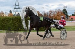 Dateiname=20251026_r05_032_R05_0078.jpg
Dateigröße=297KB
Abmessungen: 1000x667
hinzugefügt am: 28. Oktober 2025 20251026_r05_032_R05_0078.jpg