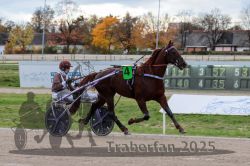 Dateiname=20251026_r05_033_R05_0085.jpg
Dateigröße=297KB
Abmessungen: 1000x667
hinzugefügt am: 28. Oktober 2025 20251026_r05_033_R05_0085.jpg