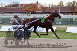 Dateiname=20251026_r05_036_R05_0098.jpg
Dateigröße=293KB
Abmessungen: 1000x667
hinzugefügt am: 28. Oktober 2025 20251026_r05_036_R05_0098.jpg