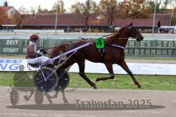 Dateiname=20251026_r05_037_R05_0102.jpg
Dateigröße=295KB
Abmessungen: 1000x667
hinzugefügt am: 28. Oktober 2025 20251026_r05_037_R05_0102.jpg