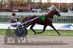 Dateiname=20251026_r05_038_R05_0106.jpg
Dateigröße=299KB
Abmessungen: 1000x667
hinzugefügt am: 28. Oktober 2025 20251026_r05_038_R05_0106.jpg