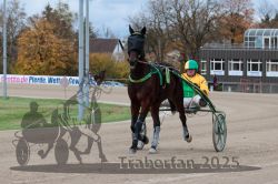 Dateiname=20251026_r05_039_R05_0107.jpg
Dateigröße=309KB
Abmessungen: 1000x667
hinzugefügt am: 28. Oktober 2025 20251026_r05_039_R05_0107.jpg