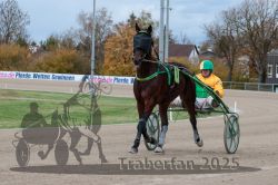 Dateiname=20251026_r05_040_R05_0115.jpg
Dateigröße=309KB
Abmessungen: 1000x667
hinzugefügt am: 28. Oktober 2025 20251026_r05_040_R05_0115.jpg