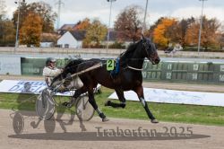 Dateiname=20251026_r05_051_R05_0174.jpg
Dateigröße=288KB
Abmessungen: 1000x667
hinzugefügt am: 28. Oktober 2025 20251026_r05_051_R05_0174.jpg