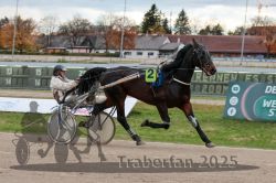 Dateiname=20251026_r05_053_R05_0182.jpg
Dateigröße=289KB
Abmessungen: 1000x667
hinzugefügt am: 28. Oktober 2025 20251026_r05_053_R05_0182.jpg