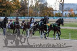 Dateiname=20251026_r05_062_R05_0216.jpg
Dateigröße=322KB
Abmessungen: 1000x667
hinzugefügt am: 28. Oktober 2025 20251026_r05_062_R05_0216.jpg