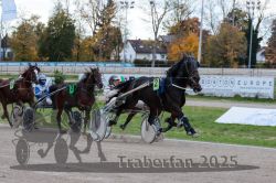 Dateiname=20251026_r05_068_R05_0238.jpg
Dateigröße=341KB
Abmessungen: 1000x667
hinzugefügt am: 28. Oktober 2025 20251026_r05_068_R05_0238.jpg