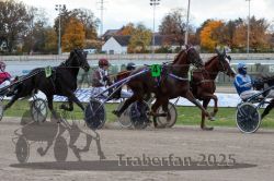 Dateiname=20251026_r05_071_R05_0251.jpg
Dateigröße=327KB
Abmessungen: 1000x667
hinzugefügt am: 28. Oktober 2025 20251026_r05_071_R05_0251.jpg