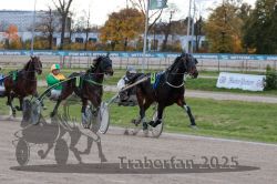 Dateiname=20251026_r05_075_R05_0271.jpg
Dateigröße=315KB
Abmessungen: 1000x667
hinzugefügt am: 28. Oktober 2025 20251026_r05_075_R05_0271.jpg