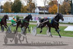 Dateiname=20251026_r05_079_R05_0283.jpg
Dateigröße=350KB
Abmessungen: 1000x667
hinzugefügt am: 28. Oktober 2025 20251026_r05_079_R05_0283.jpg