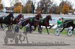 Dateiname=20251026_r05_080_R05_0290.jpg
Dateigröße=345KB
Abmessungen: 1000x667
hinzugefügt am: 28. Oktober 2025 20251026_r05_080_R05_0290.jpg