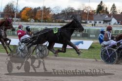 Dateiname=20251026_r05_083_R05_0300.jpg
Dateigröße=298KB
Abmessungen: 1000x667
hinzugefügt am: 28. Oktober 2025 20251026_r05_083_R05_0300.jpg