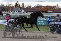 Dateiname=20251026_r05_084_R05_0304.jpg
Dateigröße=273KB
Abmessungen: 1000x667
hinzugefügt am: 28. Oktober 2025 20251026_r05_084_R05_0304.jpg