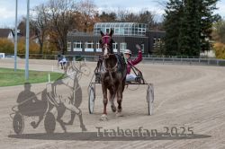 Dateiname=20251026_r05_133_R05_0501.jpg
Dateigröße=301KB
Abmessungen: 1000x667
hinzugefügt am: 28. Oktober 2025 20251026_r05_133_R05_0501.jpg