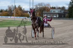 Dateiname=20251026_r05_136_R05_0518.jpg
Dateigröße=281KB
Abmessungen: 1000x667
hinzugefügt am: 28. Oktober 2025 20251026_r05_136_R05_0518.jpg