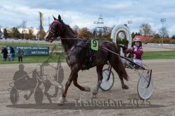 Dateiname=20251026_r05_142_R05_0547.jpg
Dateigröße=283KB
Abmessungen: 1000x667
hinzugefügt am: 28. Oktober 2025 20251026_r05_142_R05_0547.jpg